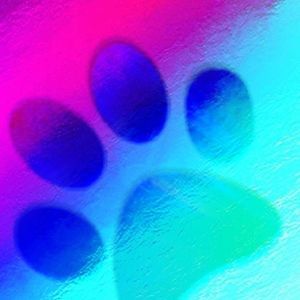 Meet your Posher, Edward